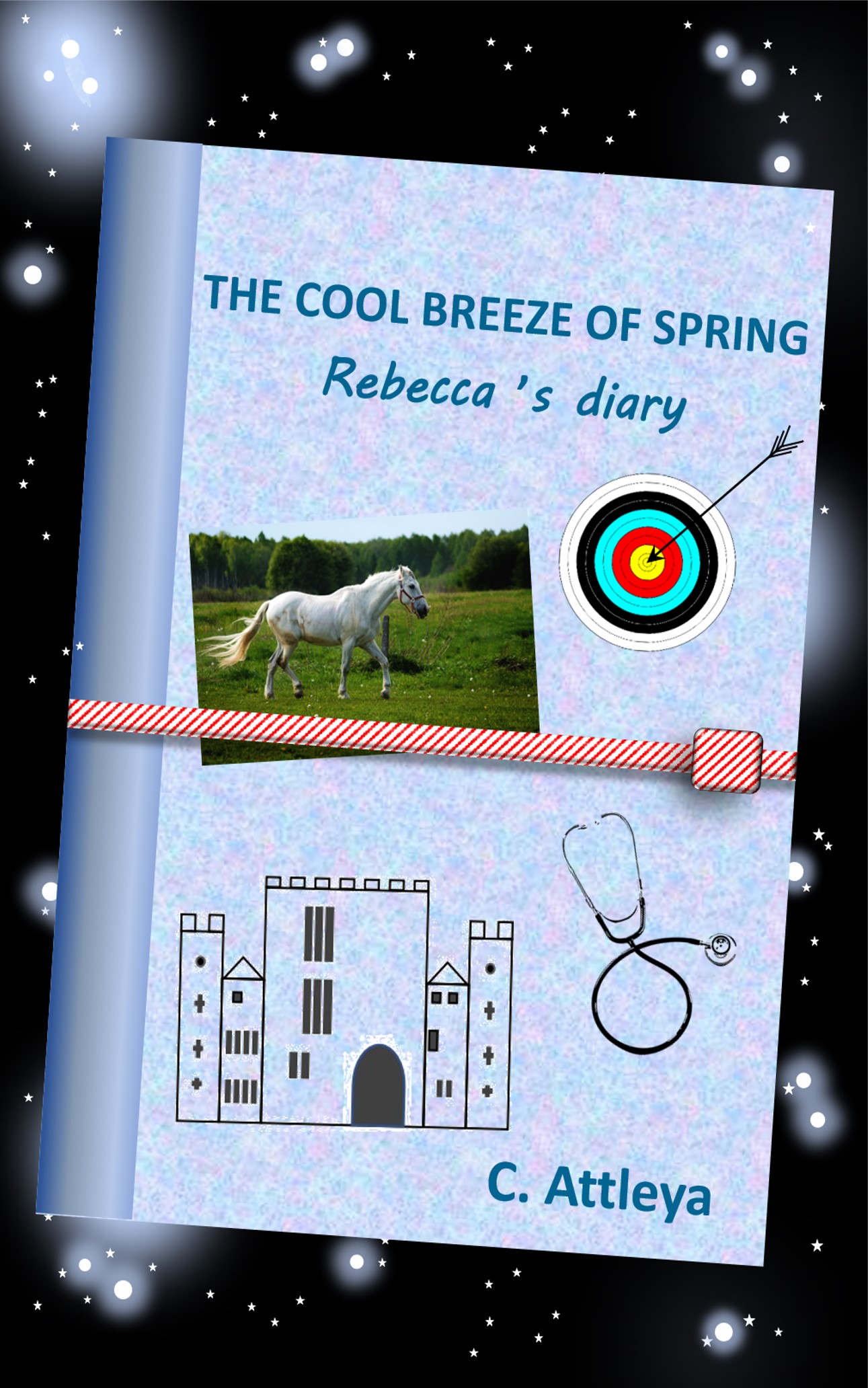 Cover Rebeccas Diary